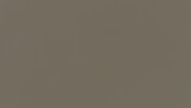 Steel Frame - Bronze