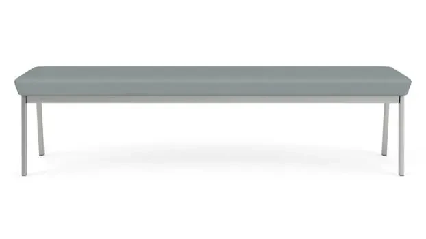 Dillon Lucid / Silver Frame