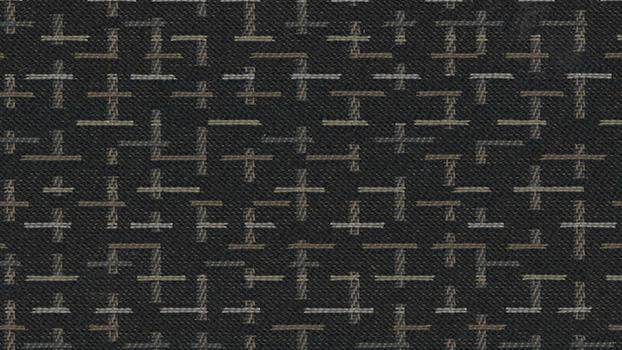 Reframe Fabric - BlackSesame