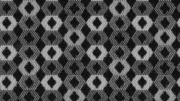 Rise Fabric - Echo