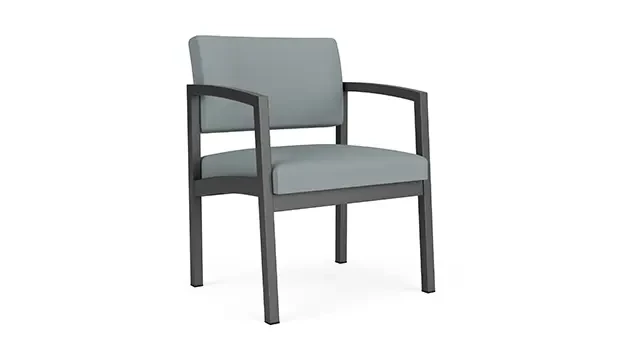 Charcoal Frame / Dillon Polyurethane - Lucid