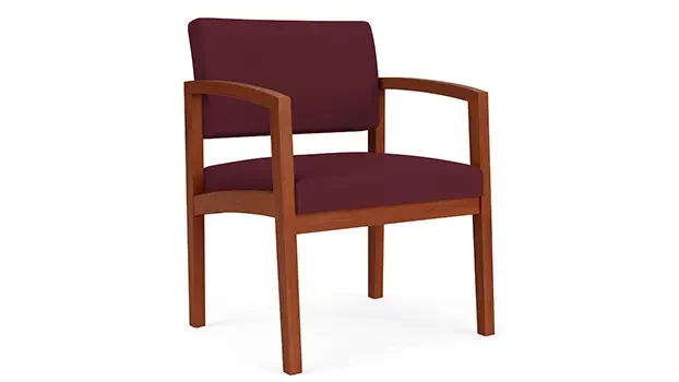 Cherry / Open House Fabric - Wine