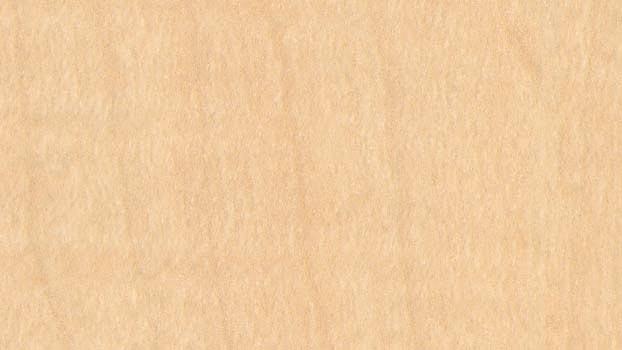 Birch