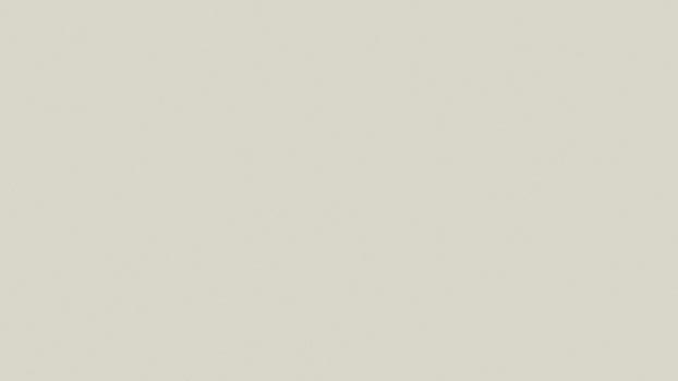 Pebble Gray