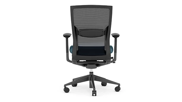 Black Frame - Blue Seat - Back View