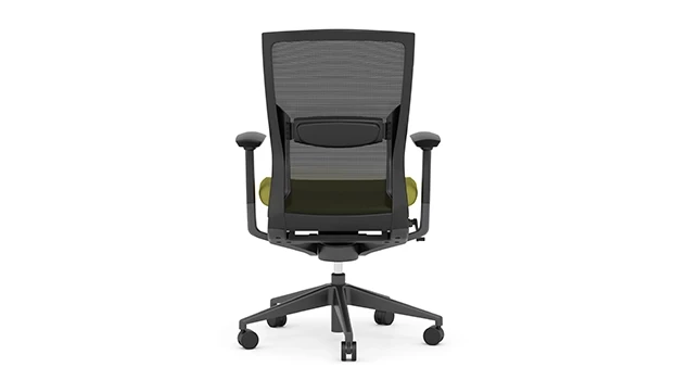 Black Frame - Green Seat - Back View