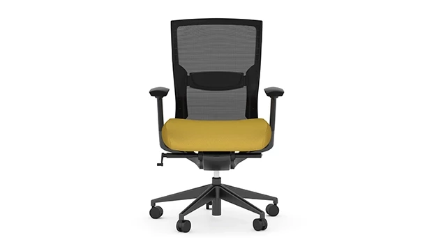 Black Frame - Mustard Seat - Front View