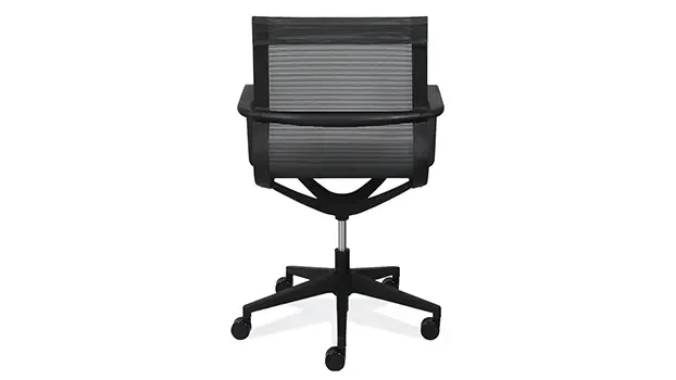 Black Mesh Back View