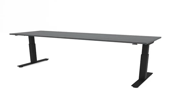 Coastal Gray / Black