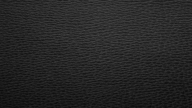 Black Leather