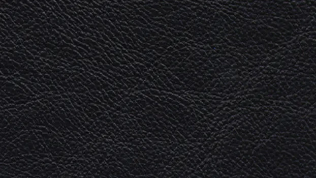 Black Leather