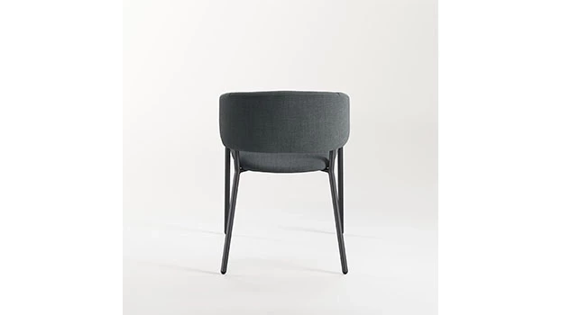 Back View