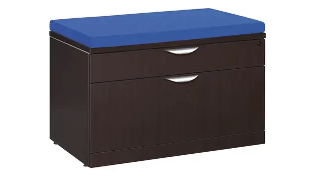 Cushion on Lateral File View