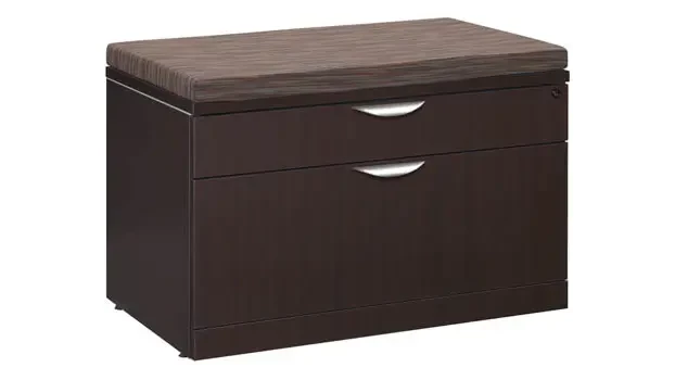 Cushion on Lateral File View