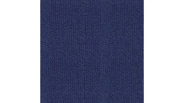 Celestisl Blue Fabric