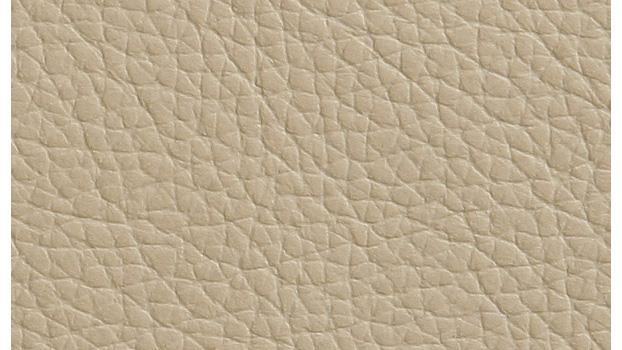 Taupe Leather