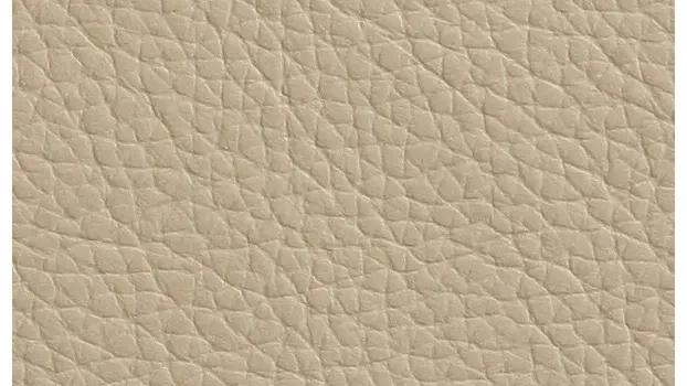 Taupe Leather