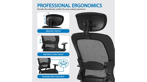 Ergonomics