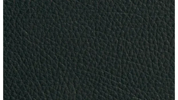Black Leather