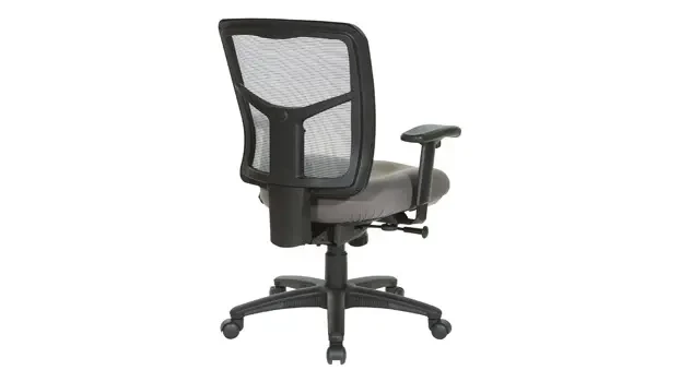 Carbon Grey - Back View