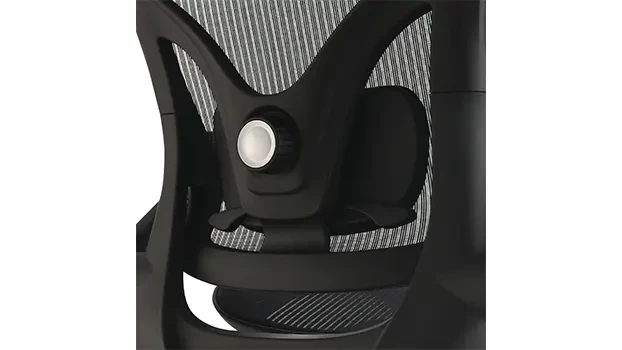 Self Adjusting Lumbar Support