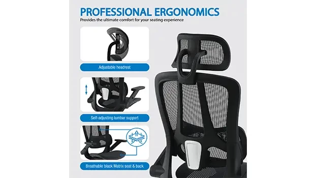 Ergonomic Features
