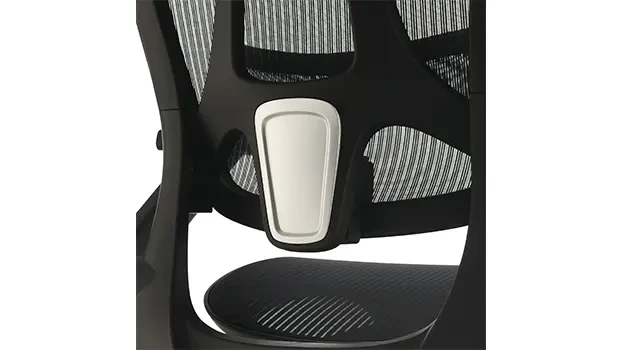 Self Adjusting Lumbar Support