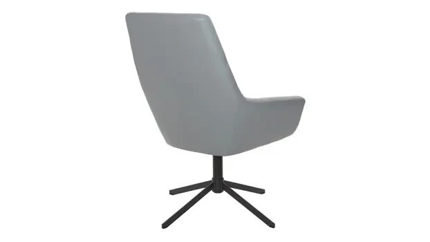 Charcoal Grey - Back View