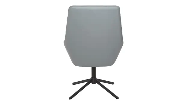 Charcoal Grey - Rear View