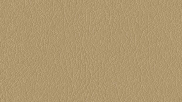 Castillo Polyurethane - Buff