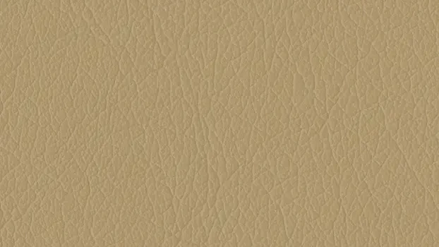 Castillo Polyurethane - Buff