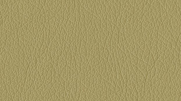 Castillo Polyurethane - Honeydew