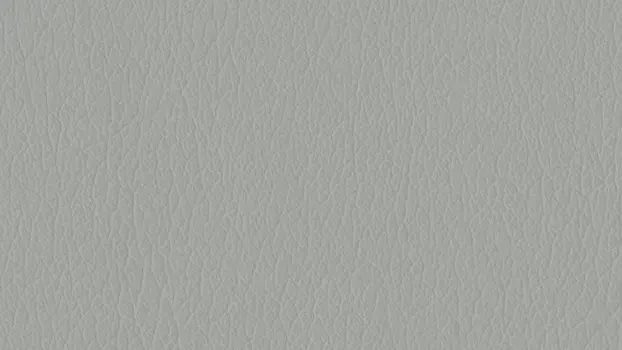 Castillo Polyurethane - Breezy