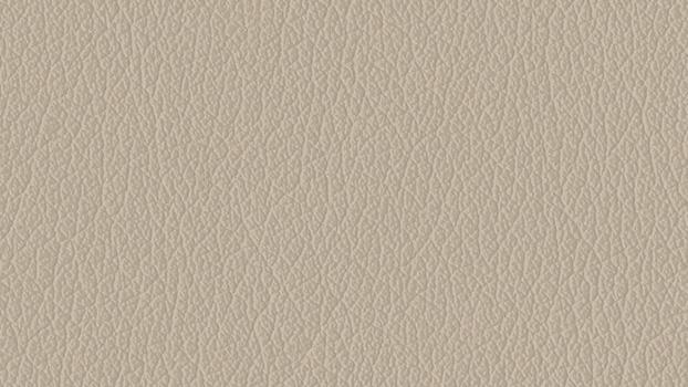 Castillo Polyurethane - Cream