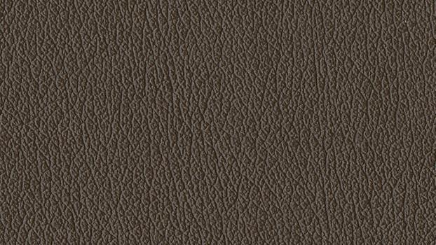 Castillo Polyurethane - Java