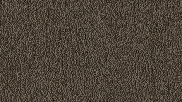 Castillo Polyurethane - Java