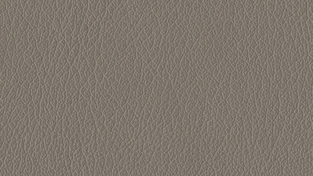 Castillo Polyurethane - Metal