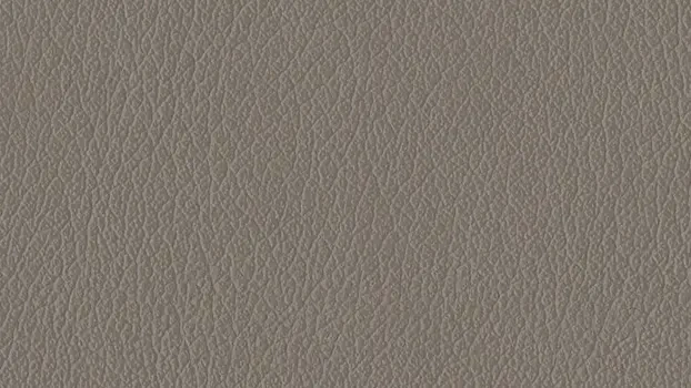 Castillo Polyurethane - Metal