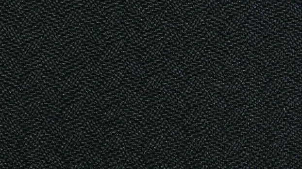 Crave Fabric - Black Triangle