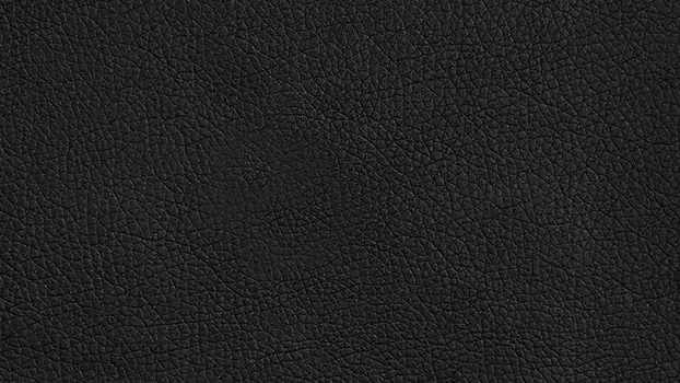 Dillon Polyurethane - Black