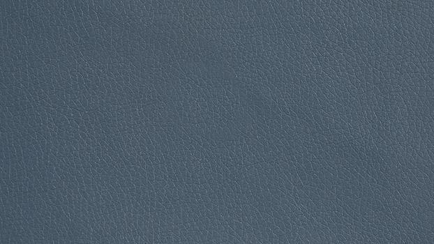 Dillon Polyurethane - Blue