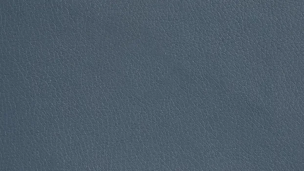 Dillon Polyurethane - Blue