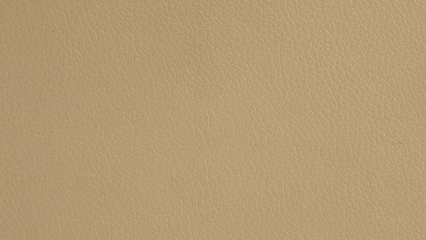 Dillon Polyurethane - Buff