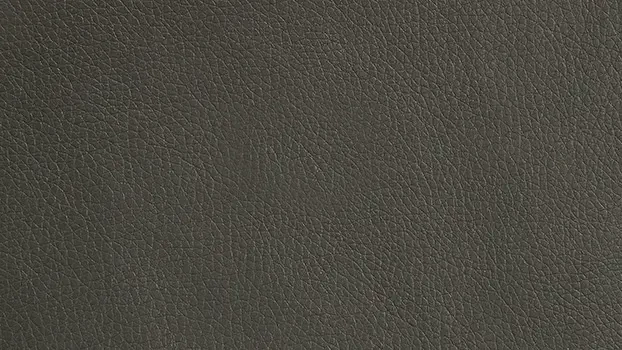 Dillon Polyurethane - Graphite