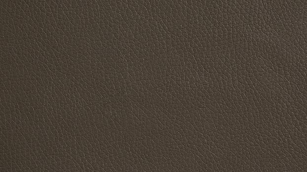 Dillon Polyurethane - Java