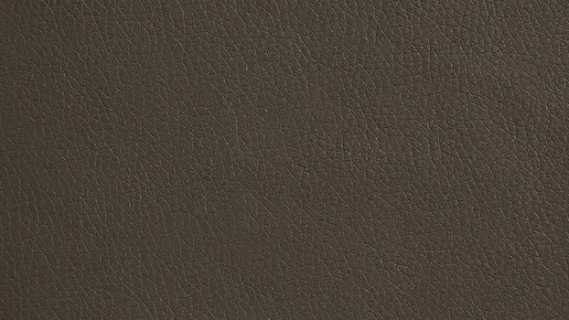 Dillon Polyurethane - Java