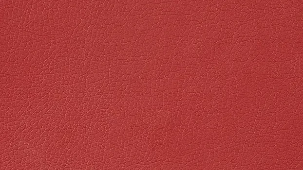 Dillon Polyurethane - Lipstick