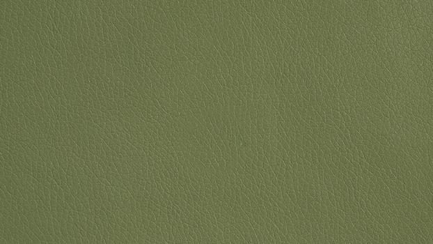 Dillon Polyurethane - Sage