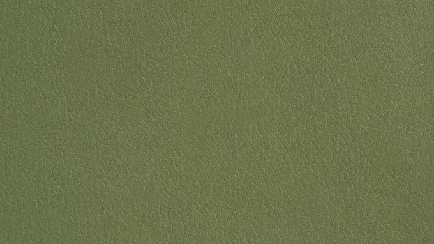 Dillon Polyurethane - Sage