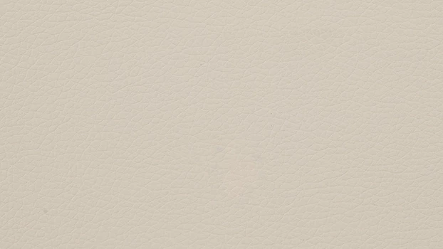 Sandy Dillon Polyurethane